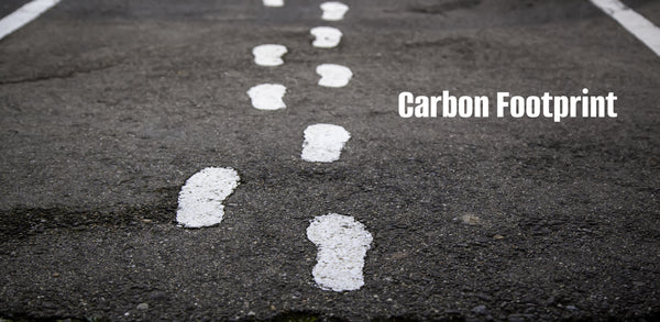 Carbon Footprint of Hippies Movement_Paul lucianolaw