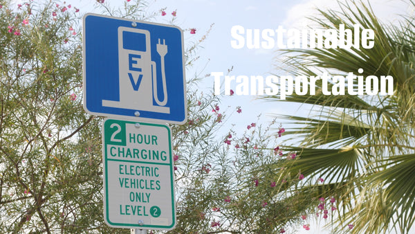 EV Cars for Sustainability_Paul lucianolaw